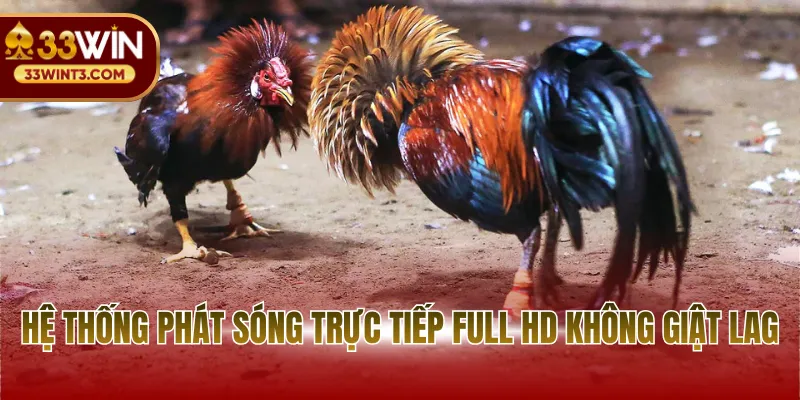 Hệ thống phát sóng chất lượng cao đảm bảo không giật lag